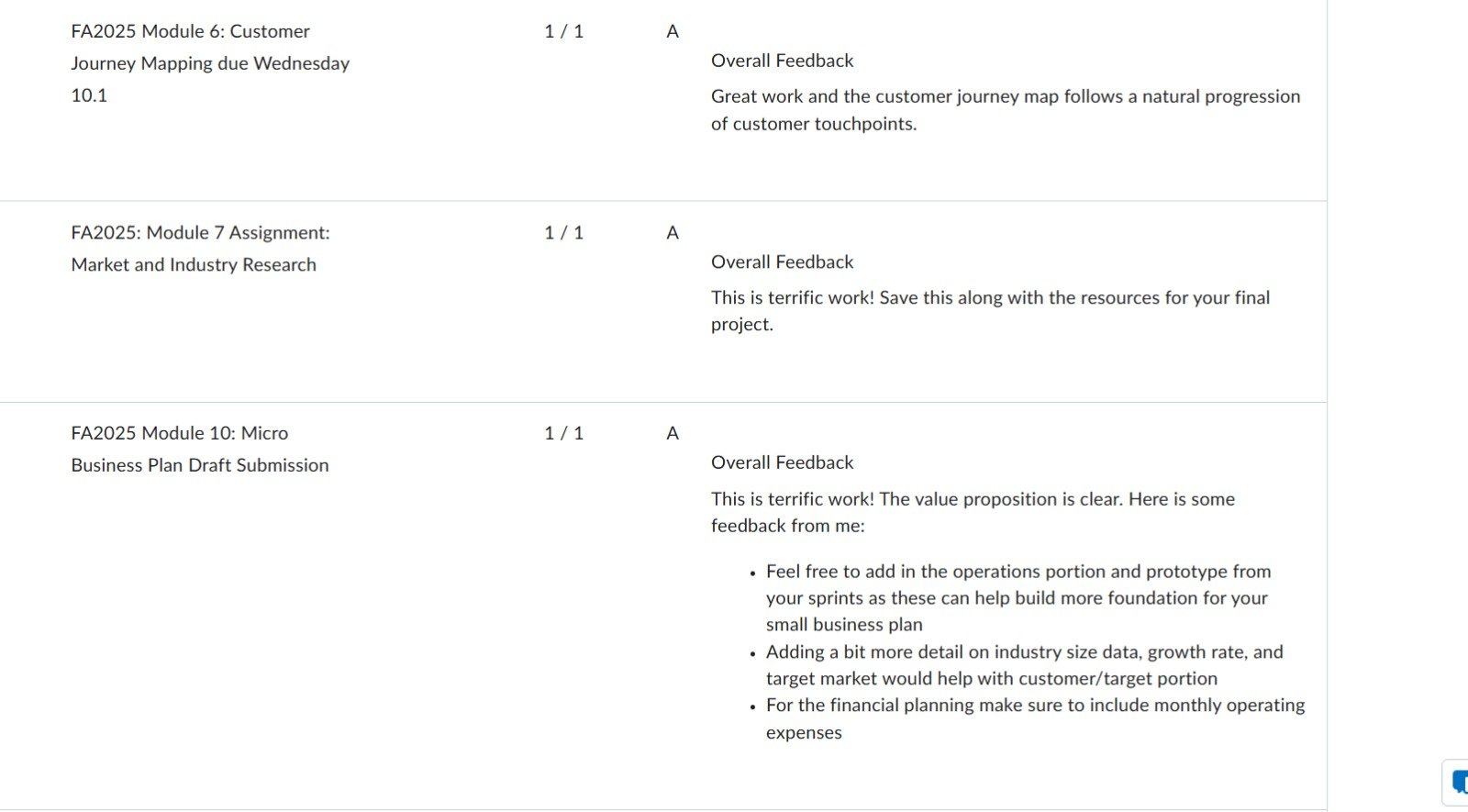 Professor feedback praising terrific work across several modules