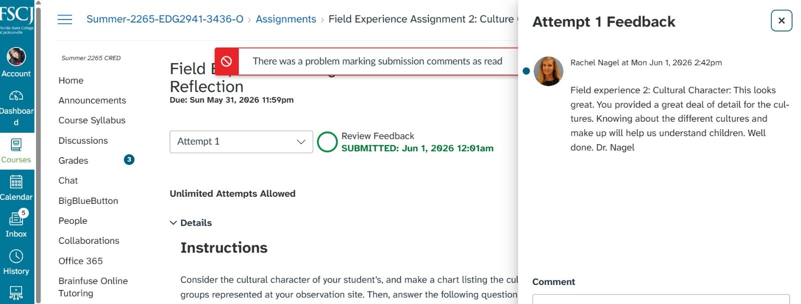 Professor feedback praising a detailed cultural analysis assignment